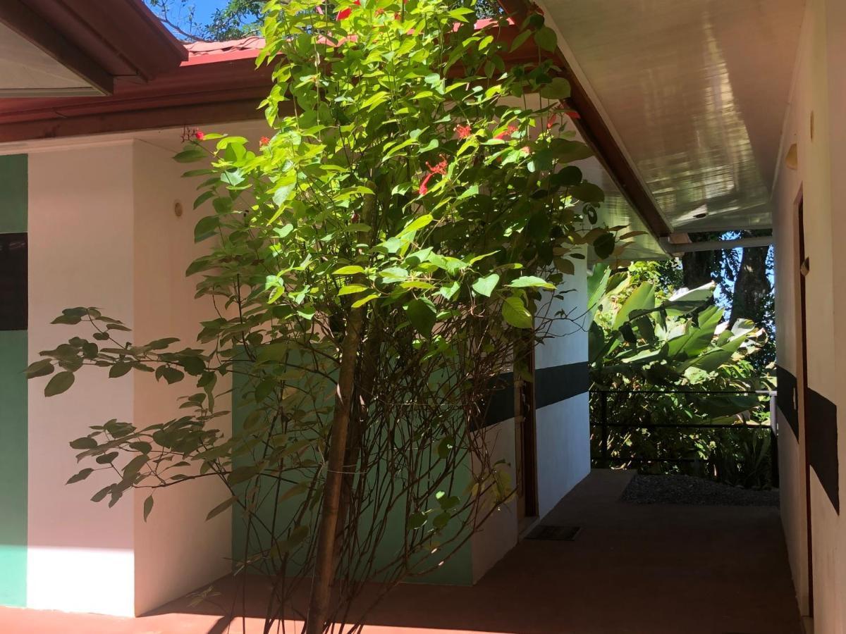 Casa Del Toucan Dominical Kültér fotó