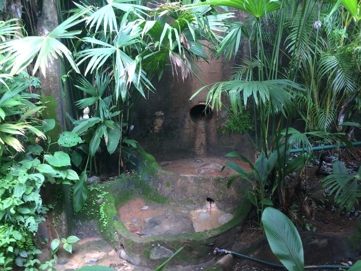 Casa Del Toucan Dominical Kültér fotó