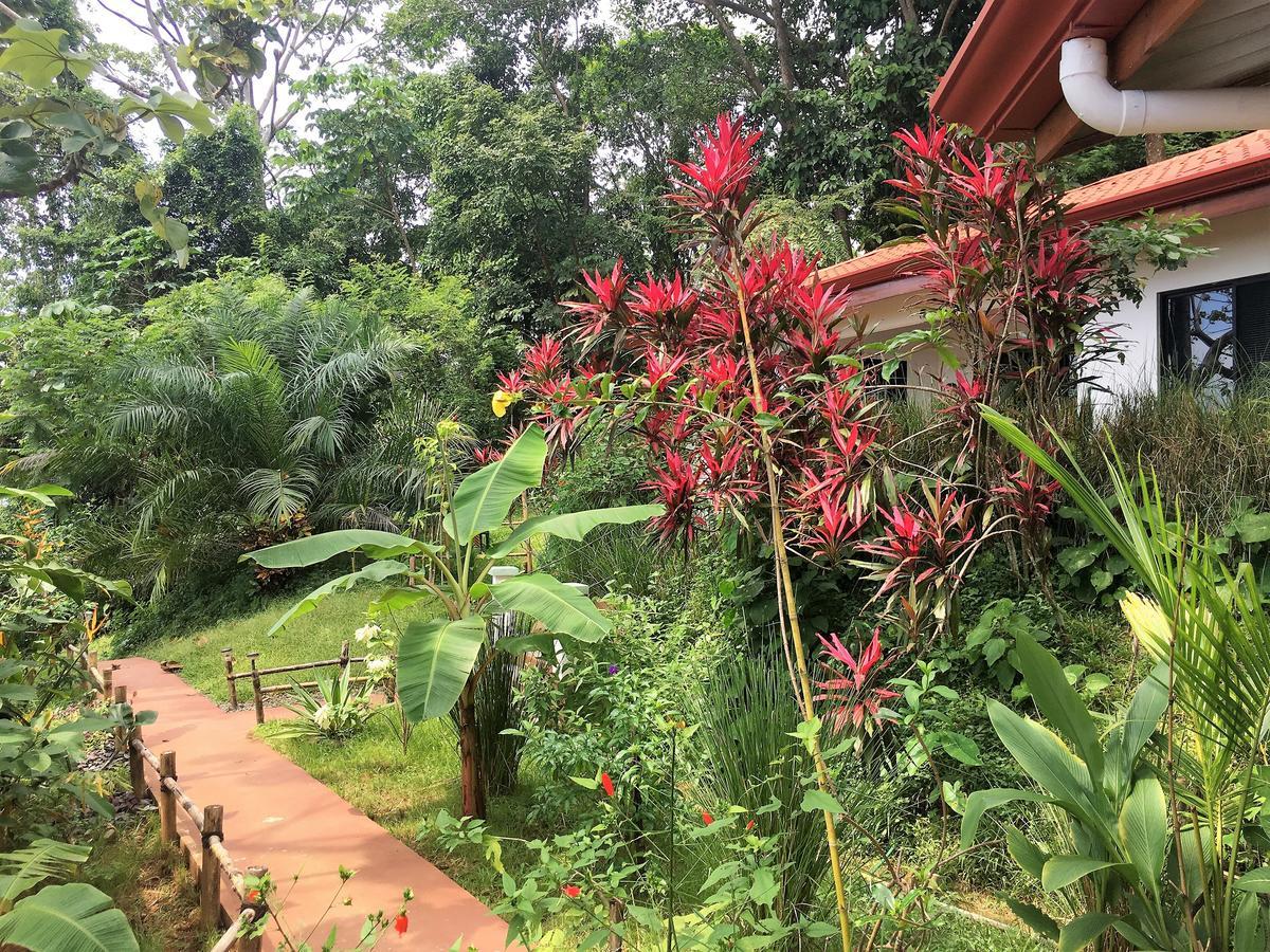 Casa Del Toucan Dominical Kültér fotó