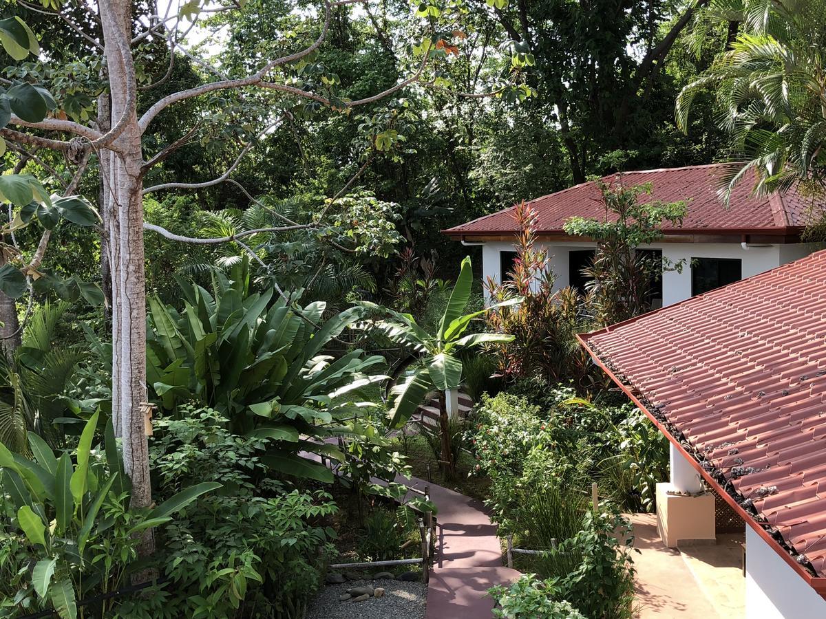 Casa Del Toucan Dominical Kültér fotó